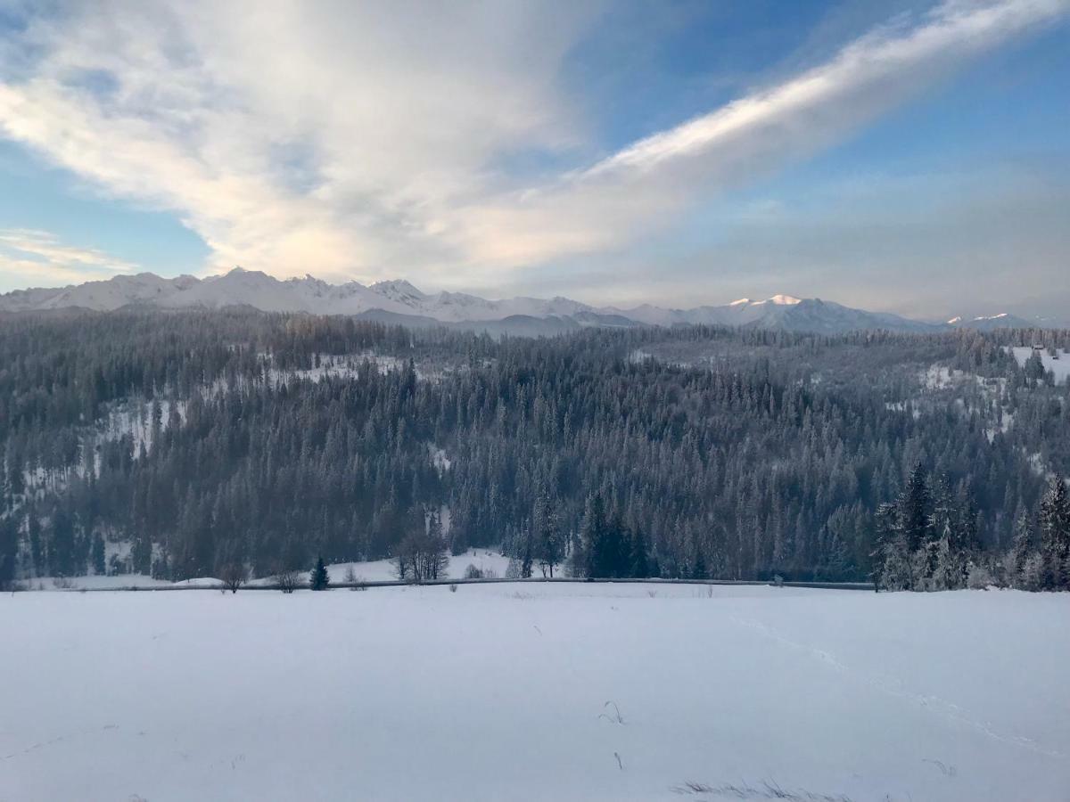 Pokoje Goscinne Bukowina Tatrzanska Luaran gambar